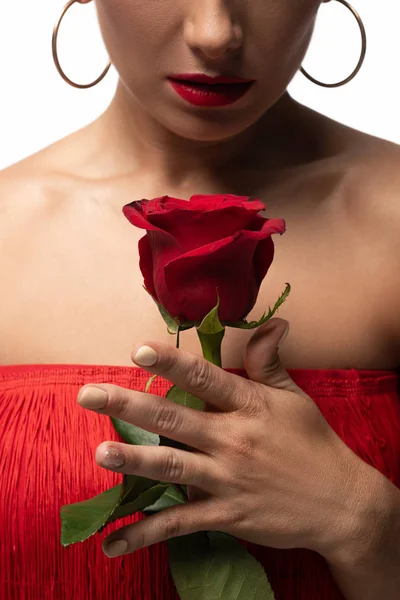 Vista Cortada Dançarina Sensual Tango Segurando Rosa Vermelha Isolada Branco — Fotografia de Stock