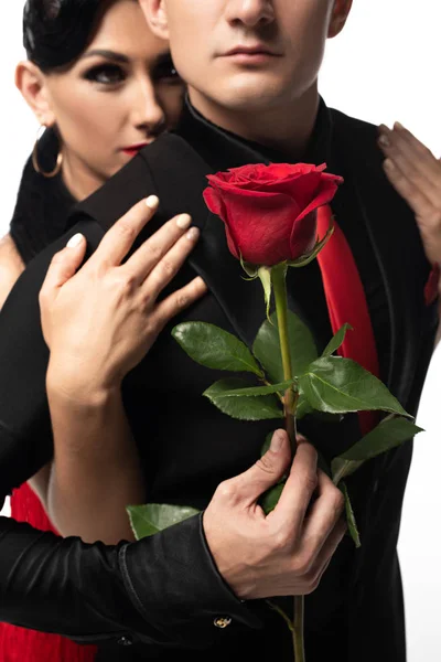 Attraente Tango Ballerino Abbracciare Partner Tenendo Rosa Rossa Isolato Bianco — Foto Stock