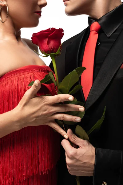 Cropped View Dancer Gifting Red Rose Partner While Performing Tango — Stock Photo, Image