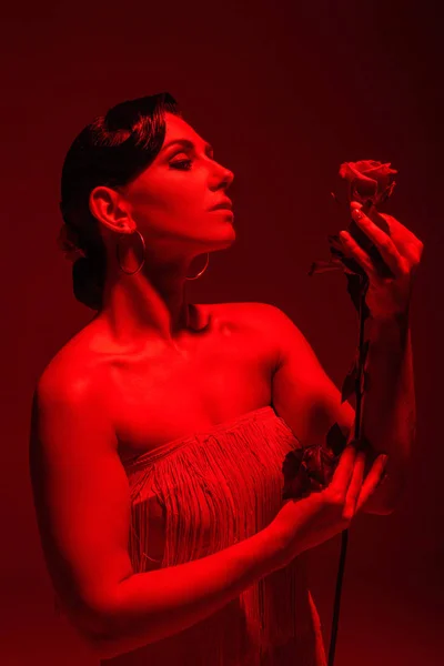 Όμορφη Χορεύτρια Ταγκό Κρατώντας Κόκκινο Τριαντάφυλλο Σκούρο Φόντο Κόκκινο Φωτισμό — Φωτογραφία Αρχείου