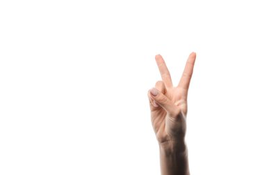 cropped view of woman showing peace sign isolated on white  clipart