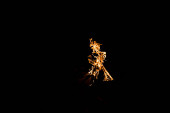 Orangefarbene Flamme im Lagerfeuer isoliert auf schwarz