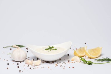 Taze malzemeli ev yapımı tzatziki sosu ve beyaz arka planda baharatlar.