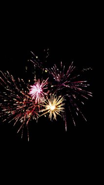 red pink and orange fireworks in dark night sky, isolated on black clipart