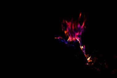 Siyah üzerine izole edilmiş şenlik ateşinde pembe ve mor alev