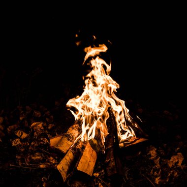 logs burning in camp fire in darkness  clipart