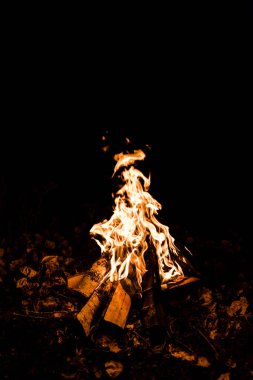 Odunlar karanlıkta kamp ateşinde yanıyor. 