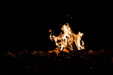 Odunlar karanlıkta kamp ateşinde yanıyor. 
