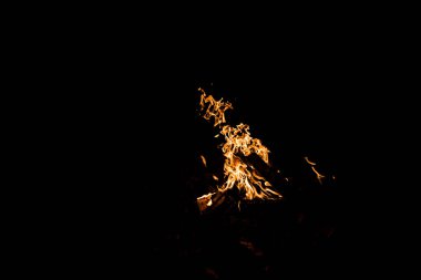 Kamp ateşinde yanan kütükler siyah üzerine izole edilmiş.