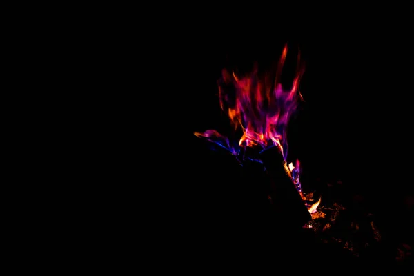 黑色篝火中的粉色和紫色火焰 — 图库照片