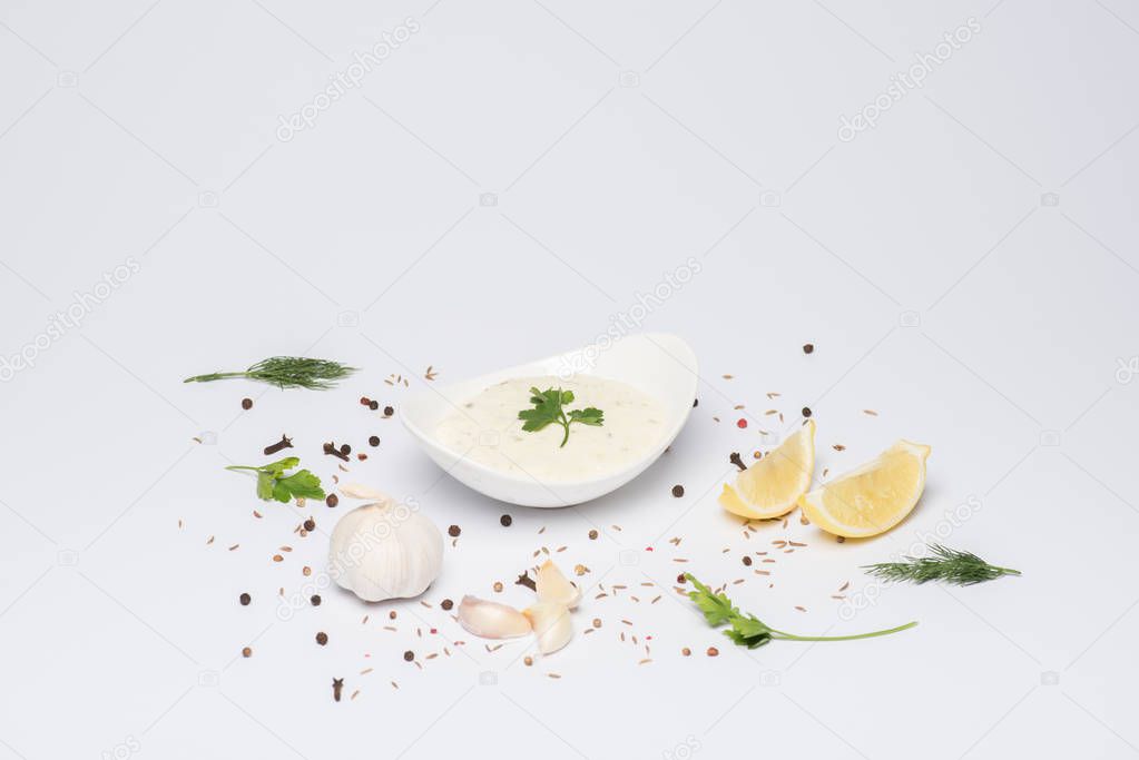 Tzatziki sauce in bowl with ingredients and spices on white background