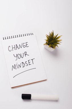 notebook with change young mindset inscription, felt-tip pen and potted plant on white surface clipart