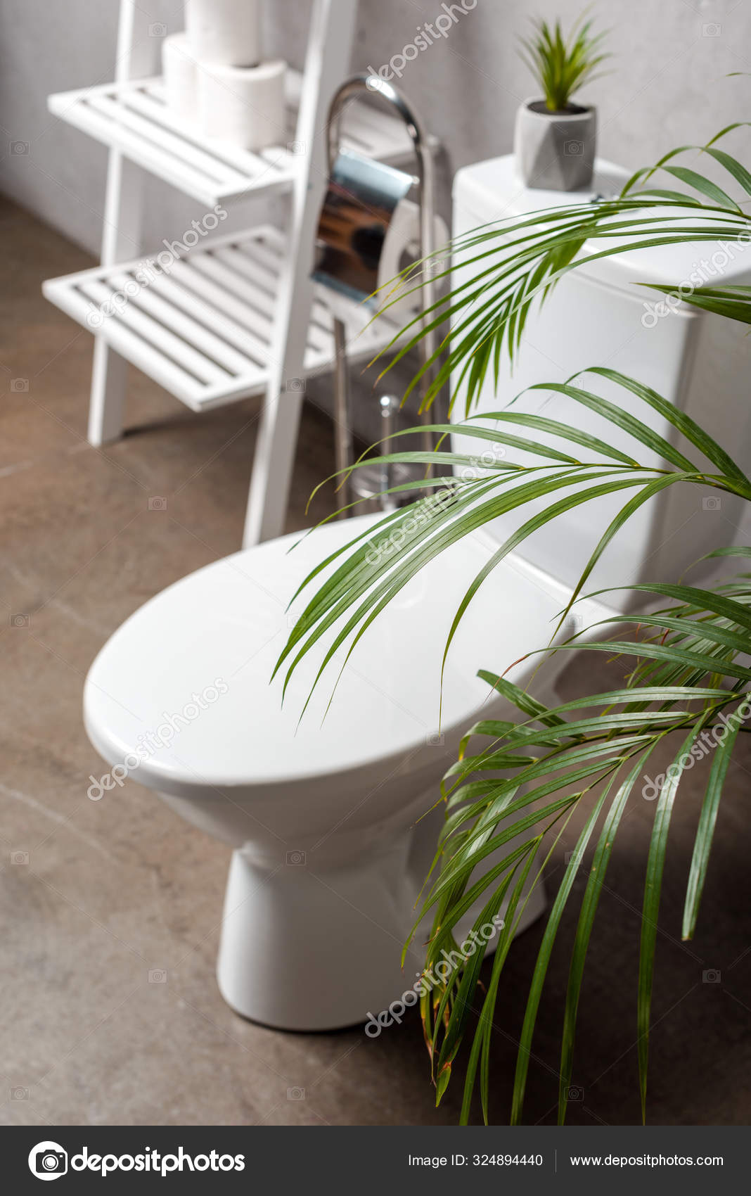 Selective Focus Palm Tree Toilet Bowl Rack Toilet Paper — Stock Photo