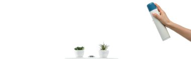 cropped view of woman spraying air freshener near ceramic clean toilet bowl with plants isolated on white, panoramic shot clipart