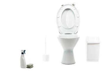 ceramic clean toilet bowl near waste container, toilet brush, sponge, detergent isolated on white clipart