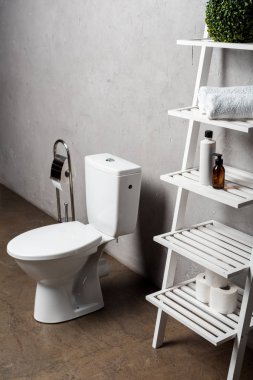 Modern banyo. Tuvalet kapağı yanında kozmetik ürünleri, havlular, tuvalet kağıdı.