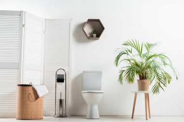 interior of white modern bathroom with toilet bowl near folding screen, laundry basket, palm tree and toilet brush clipart