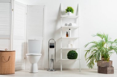 Beyaz, modern banyo. Tuvalet perdesi, çamaşır sepeti, raflar ve bitkilerin yanında.