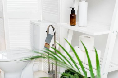Beyaz modern banyo. Tuvaleti katlanır ekran, askı ve palmiye ağacının yanında.