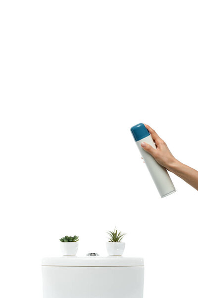 cropped view of woman spraying air freshener near ceramic clean toilet bowl with plants isolated on white