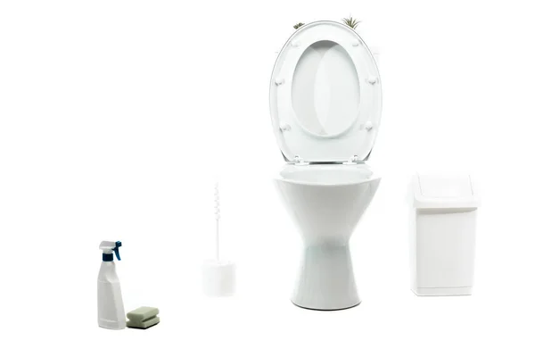 Ceramic Clean Toilet Bowl Waste Container Toilet Brush Sponge Detergent — Stock Photo, Image