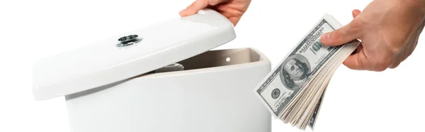 Cropped View Woman Hiding Dollars Ceramic Clean Toilet Bowl Isolated — Stock Photo, Image