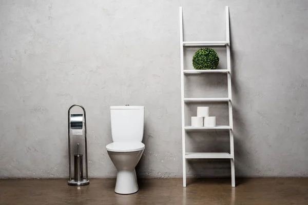 Intérieur Des Toilettes Modernes Avec Cuvette Toilette Papier Brosse Près — Photo