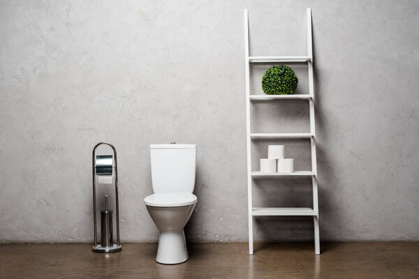 interior of modern restroom with toilet bowl, paper and brush near rack