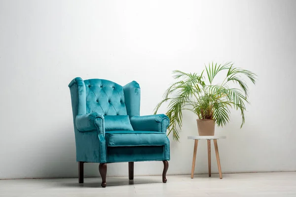 Elegancki Welurowy Niebieski Fotel Poduszką Pobliżu Zielonej Rośliny — Zdjęcie stockowe