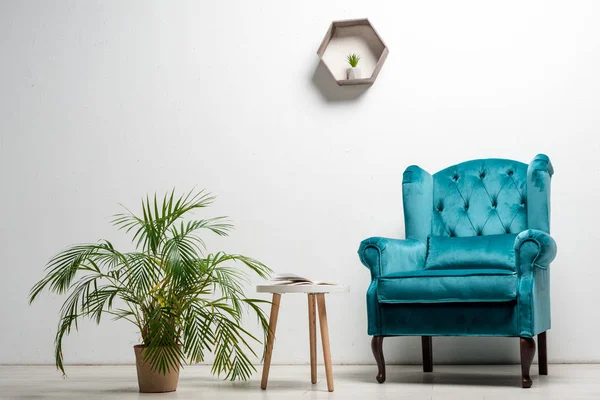 Interior Habitación Con Elegante Sillón Terciopelo Azul Cerca Planta Verde —  Fotos de Stock