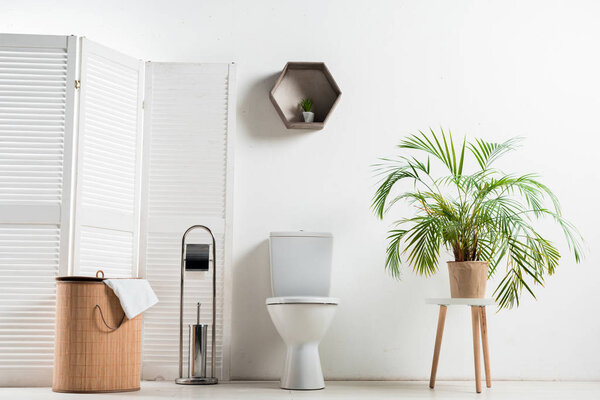 interior of white modern bathroom with toilet bowl near folding screen, laundry basket, palm tree and toilet brush