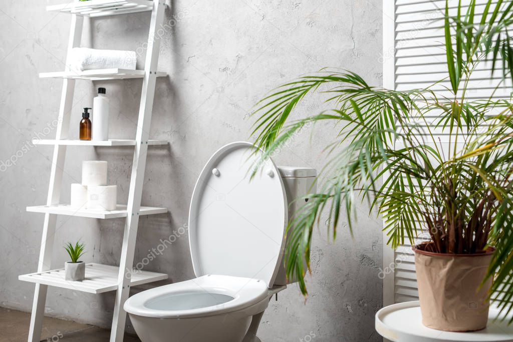 interior of modern bathroom with toilet bowl near rack with cosmetics, towels, toilet paper, palm tree