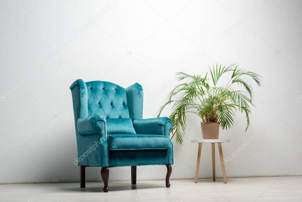 elegant velour blue armchair with pillow near green plant