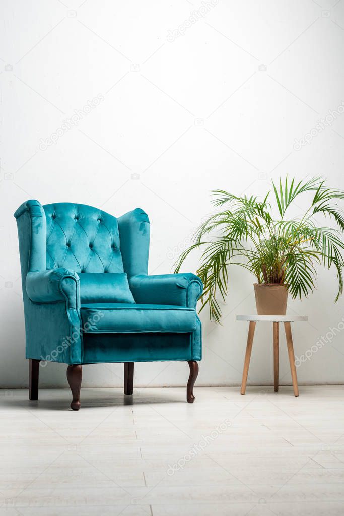elegant velour blue armchair with pillow near green plant
