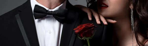 Панорамный Снимок Пары Обнимающей Держащей Красный Цветок Розы Изолированный Сером — стоковое фото