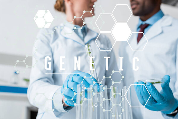 cropped view of multicultural biologists holding test tubes with genetic illustration