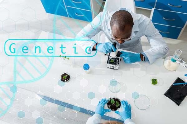 overhead view of multicultural biologists testing leaves with genetic illustration