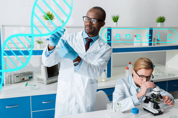 african american biologist holding test tube and standing near dna illustration, colleague using microscope