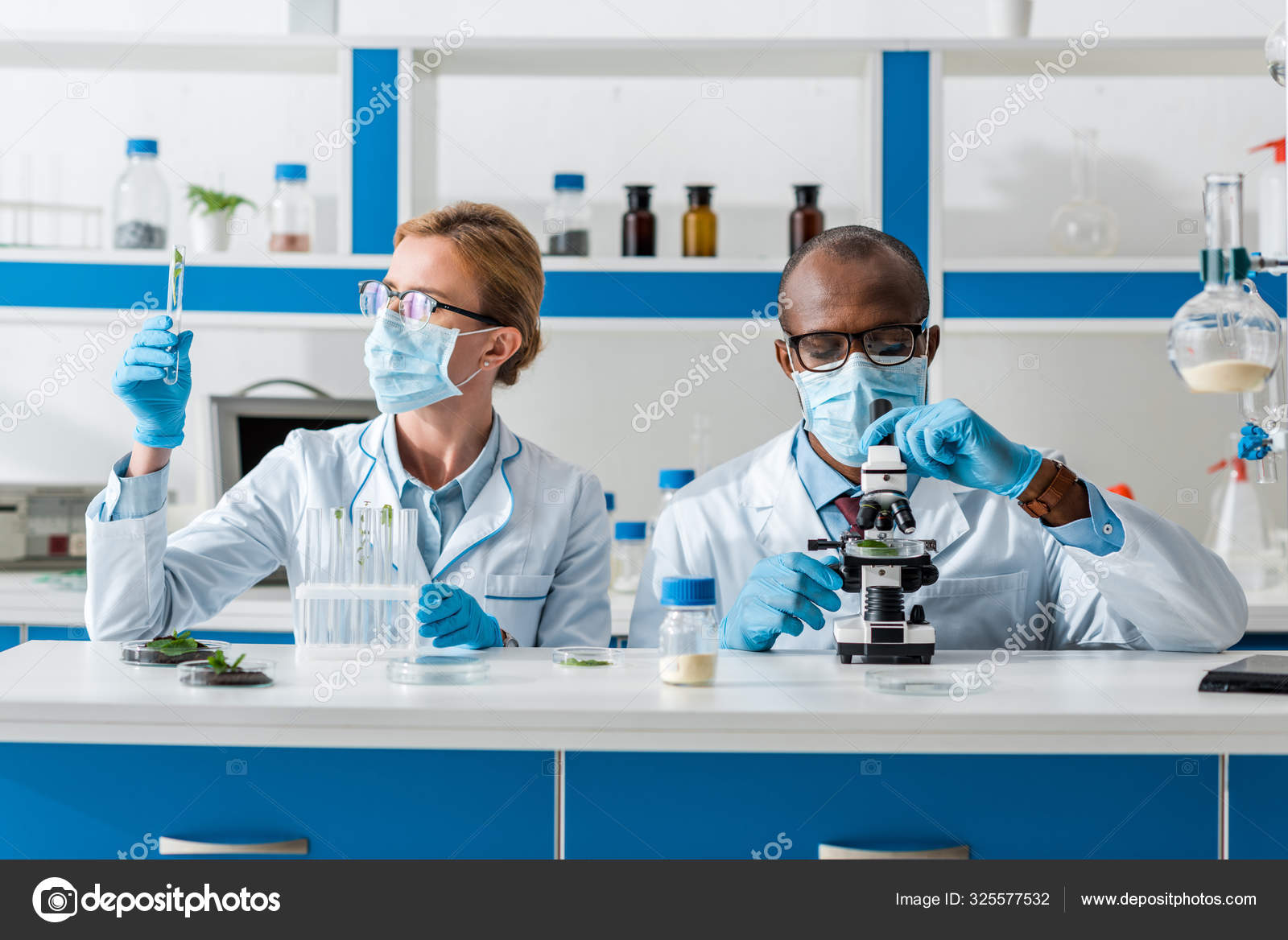 African American Biologist Using Microscope His Colleague Looking