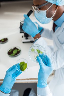 selective focus of biologist holding leaves and african american colleague using microscope clipart