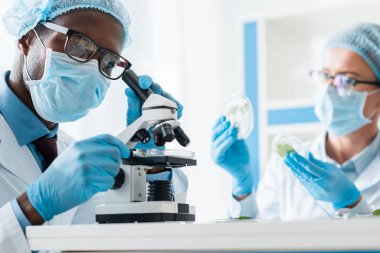 selective focus of african american biologist using microscope and his colleague holding leaves  clipart