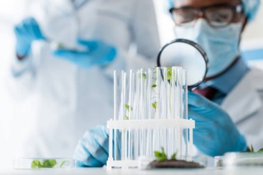 Afrikalı Amerikalı biyologların seçici odak noktası büyüteçle test tüplerine bakıyor.