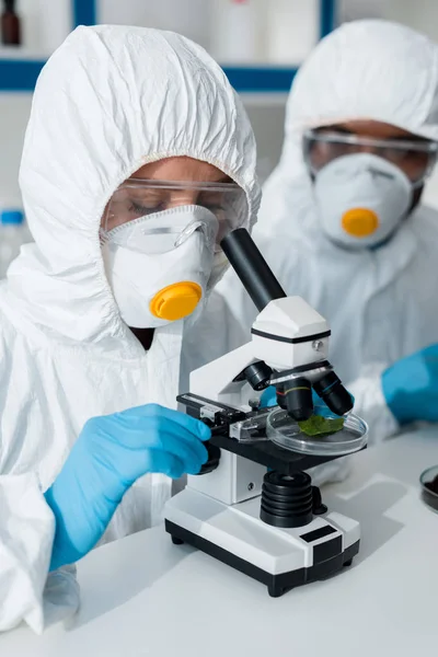 Selective Focus Biologist Using Microscope African American Colleague Sitting Background — Stock Photo, Image