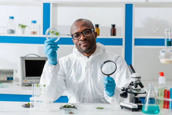 Smiling African American Biologist Holding Magnifying Glass Leaves — Stock Photo, Image
