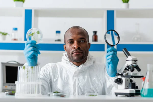 African American Biologist Holding Magnifying Glass Leaves — Stock Photo, Image