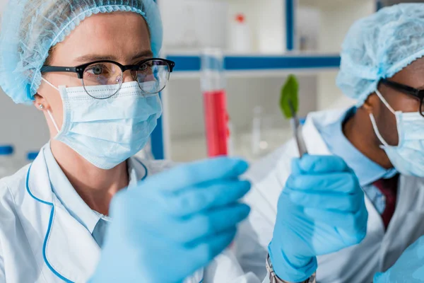 Selective Focus Biologists Looking Test Tube Leaf African American Colleague — Stock Photo, Image