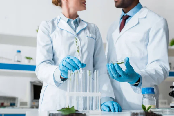 Vista Recortada Biólogos Multiculturales Hablando Laboratorio — Foto de Stock