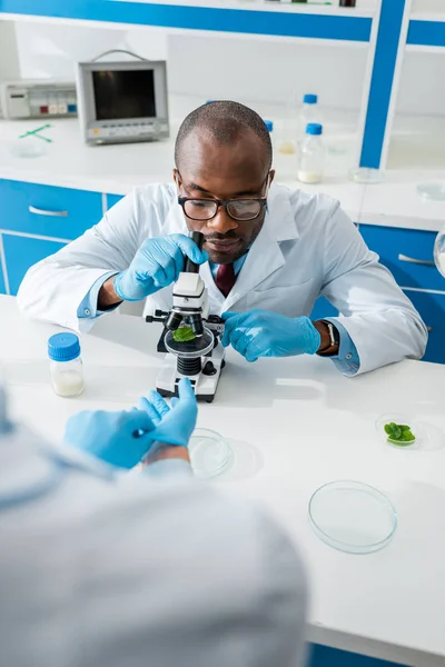 Cropped View Biologist Wearing Latex Gloves African American Colleague Using — Stock Photo, Image