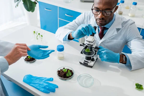 Visão Recortada Biólogo Tirando Luvas Látex Colega Afro Americano Usando — Fotografia de Stock