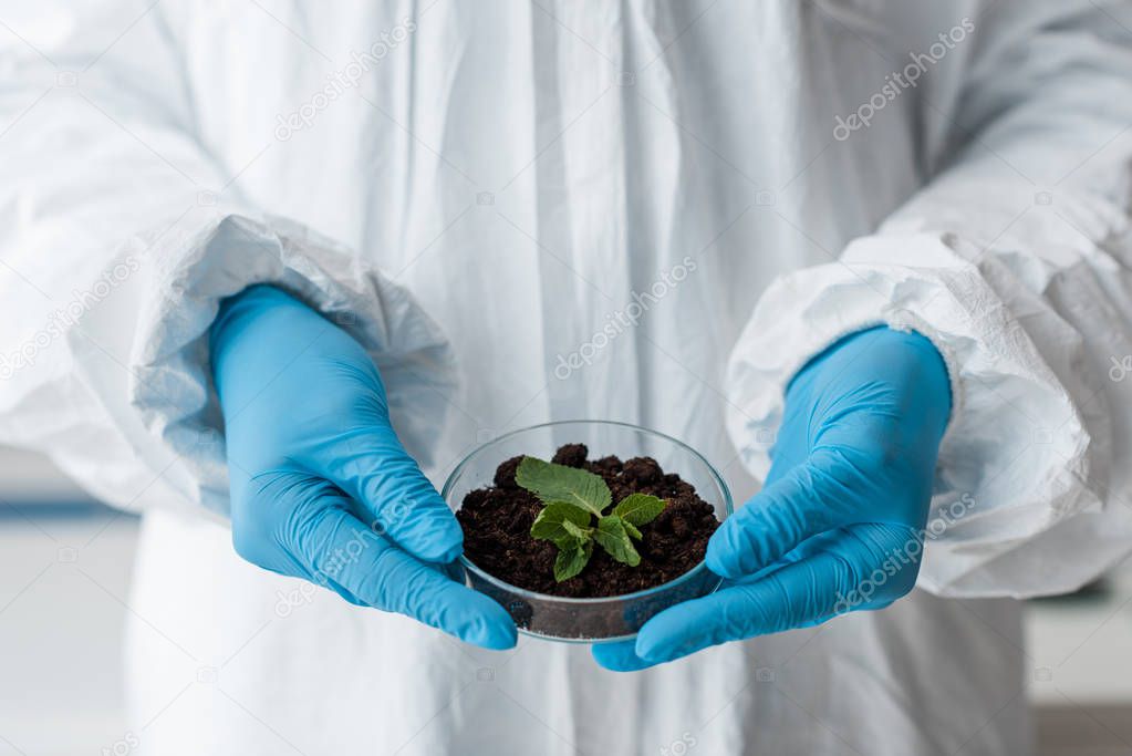 cropped view of biologist in latex gloves holding leaves in lab 